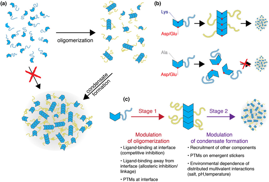 Figure 5: