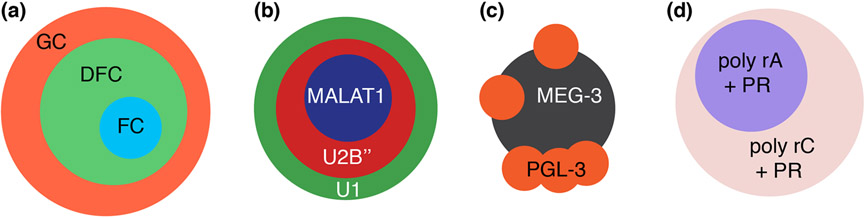 Figure 4: