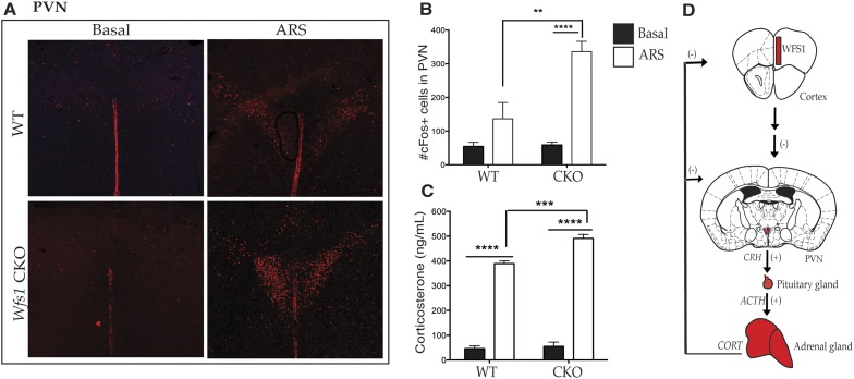 Figure 5.