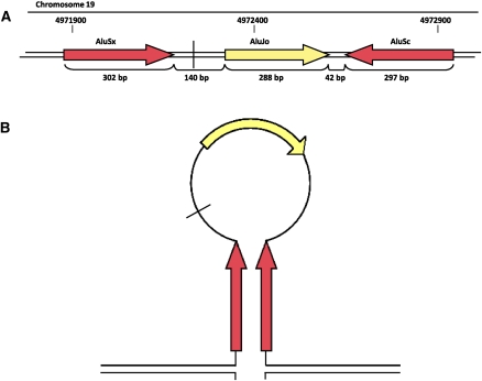 Figure 5.