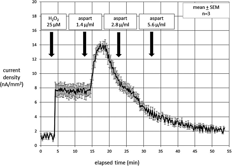 FIG. 2.