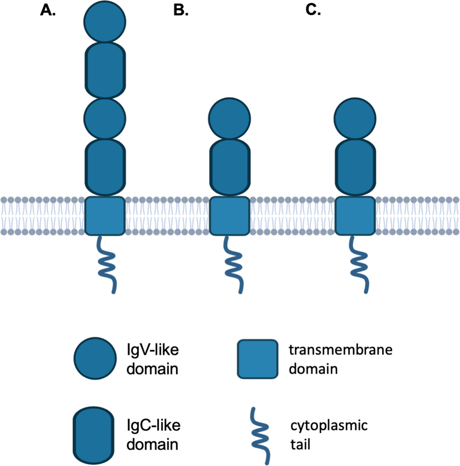 Figure 2.