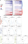 Figure 5—figure supplement 1.