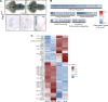 Figure 2—figure supplement 1.