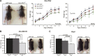 Figure 4—figure supplement 1.