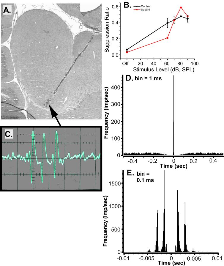 Fig.9