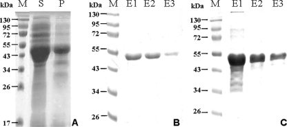 FIG. 7.