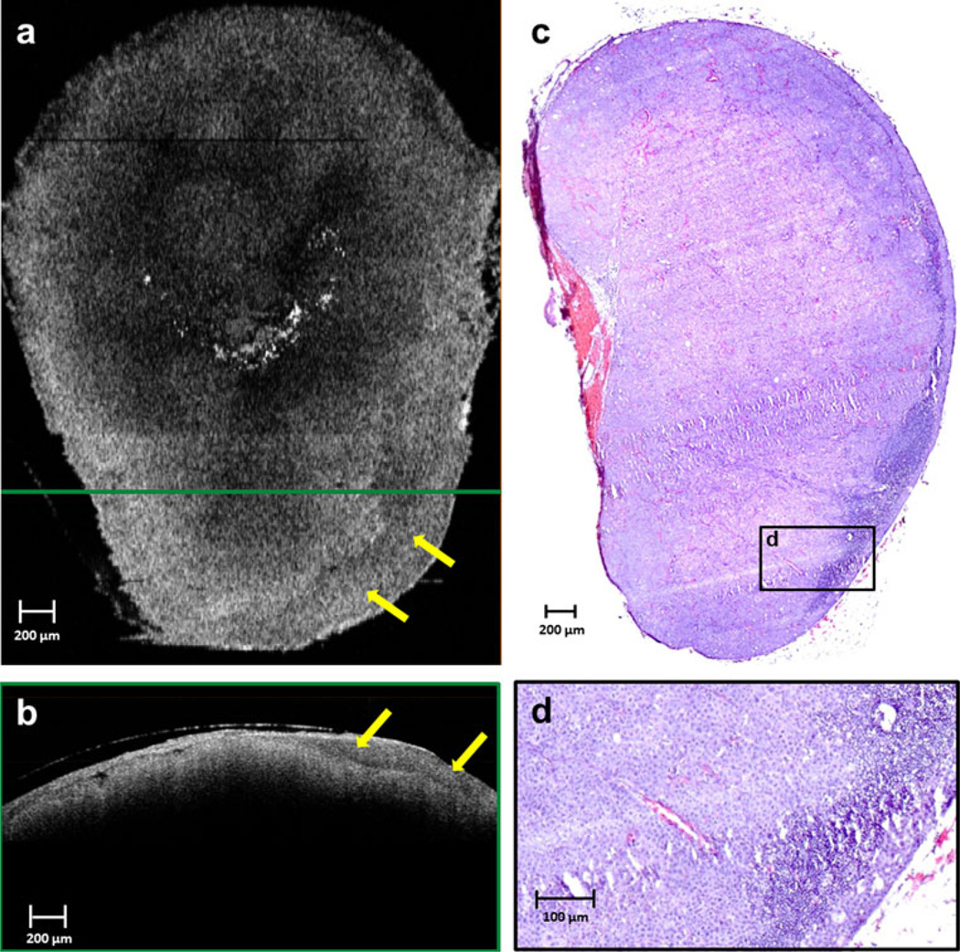 FIG. 6