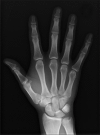 Fig. 5