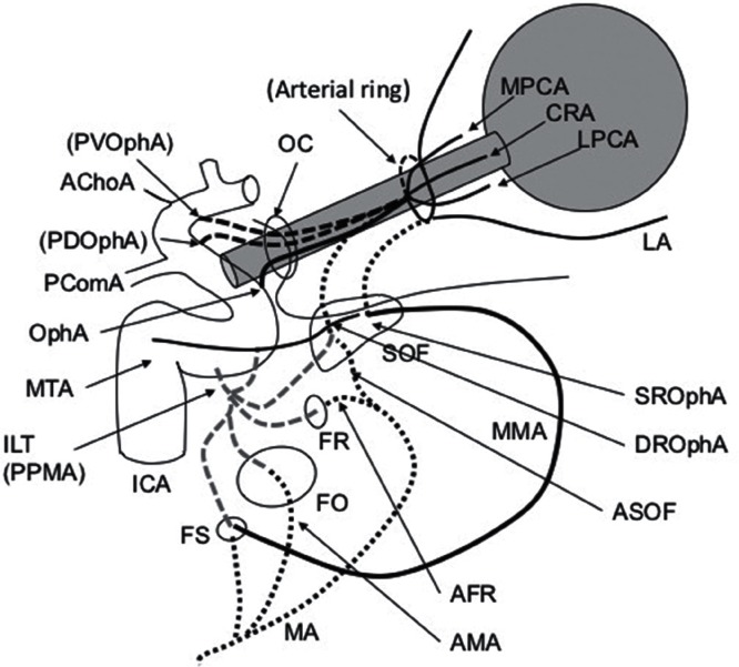 Fig. 4