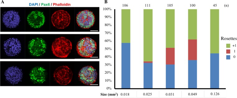 Figure 5—figure supplement 2.