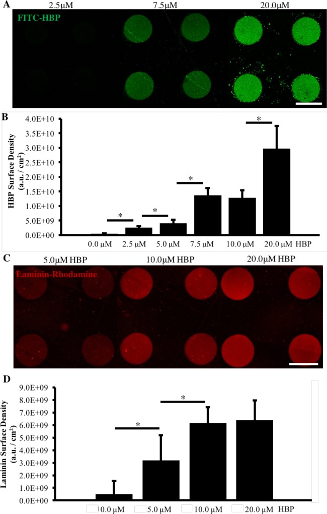 Figure 6—figure supplement 3.