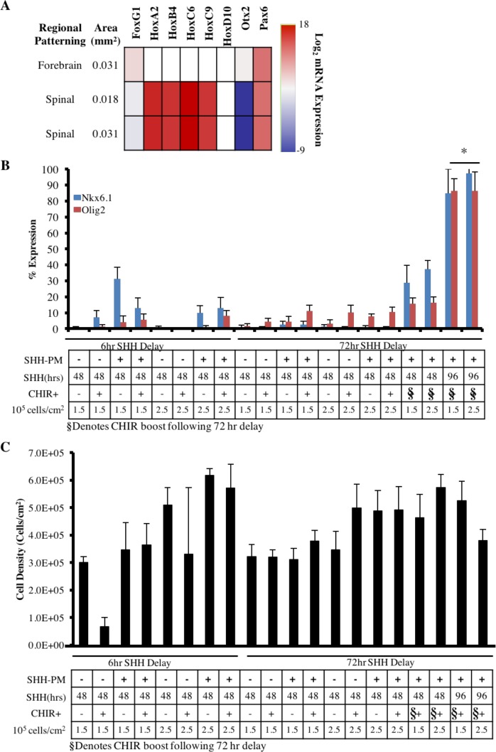 Figure 4—figure supplement 1.