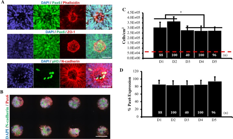 Figure 1—figure supplement 1.