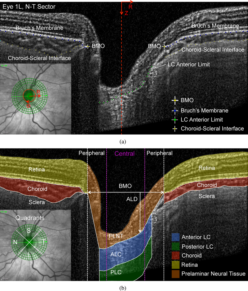 Figure 3: