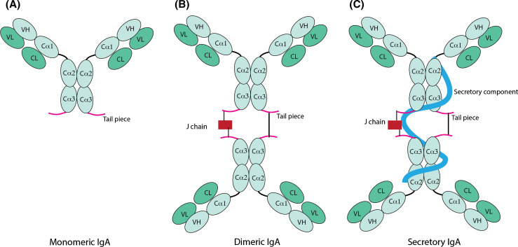 Fig. 1