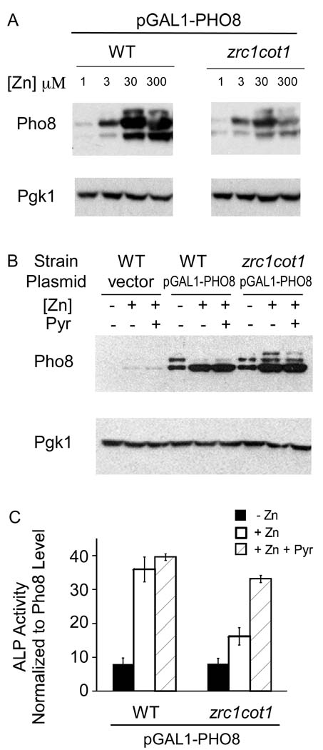 Figure 7