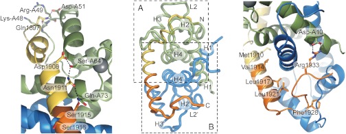 Fig. 3.