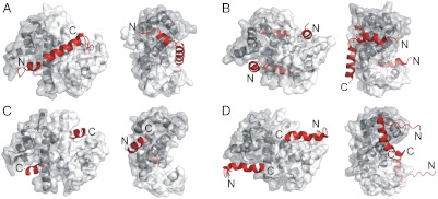 Fig. 6.