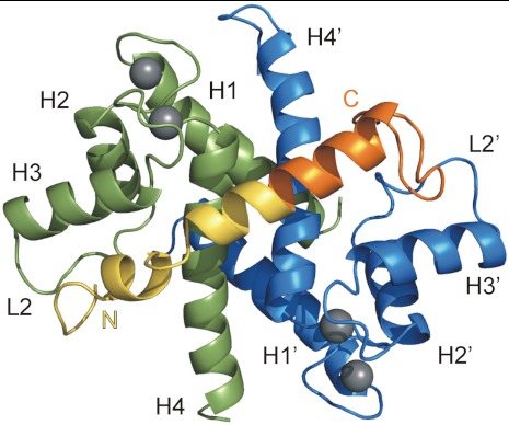 Fig. 1.