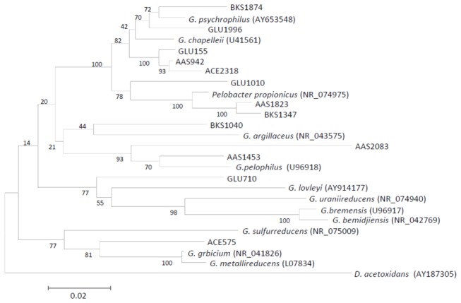 Figure 4