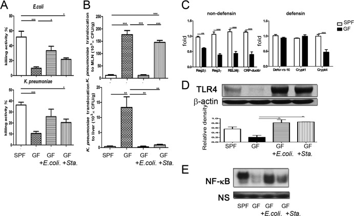 FIG 6