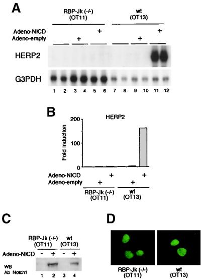 FIG. 9