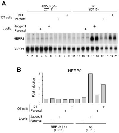 FIG. 7