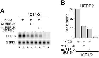 FIG. 6