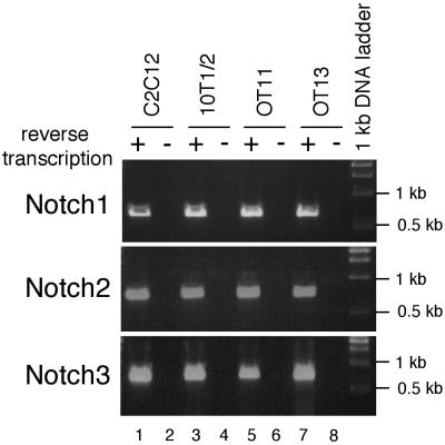 FIG. 8