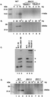 FIG. 9