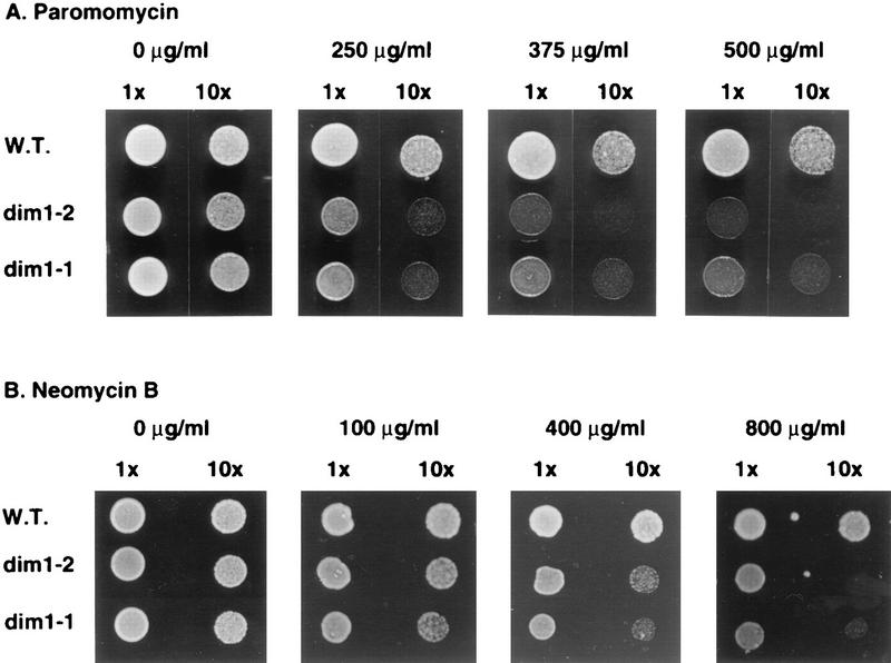 FIG. 10