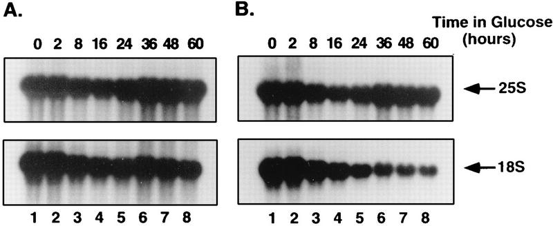 FIG. 8