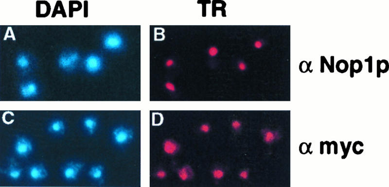 FIG. 11