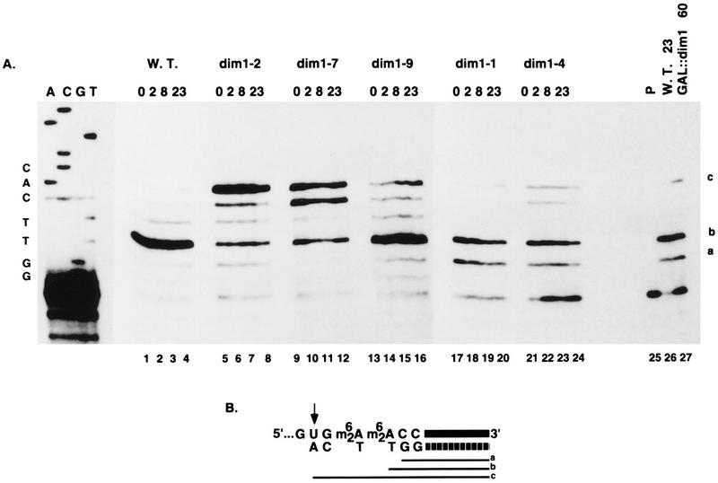 FIG. 6