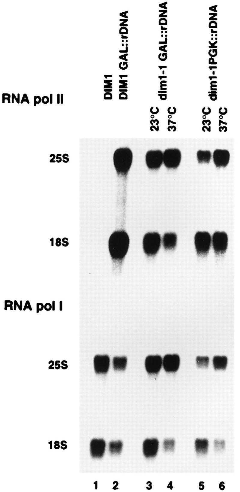 FIG. 7