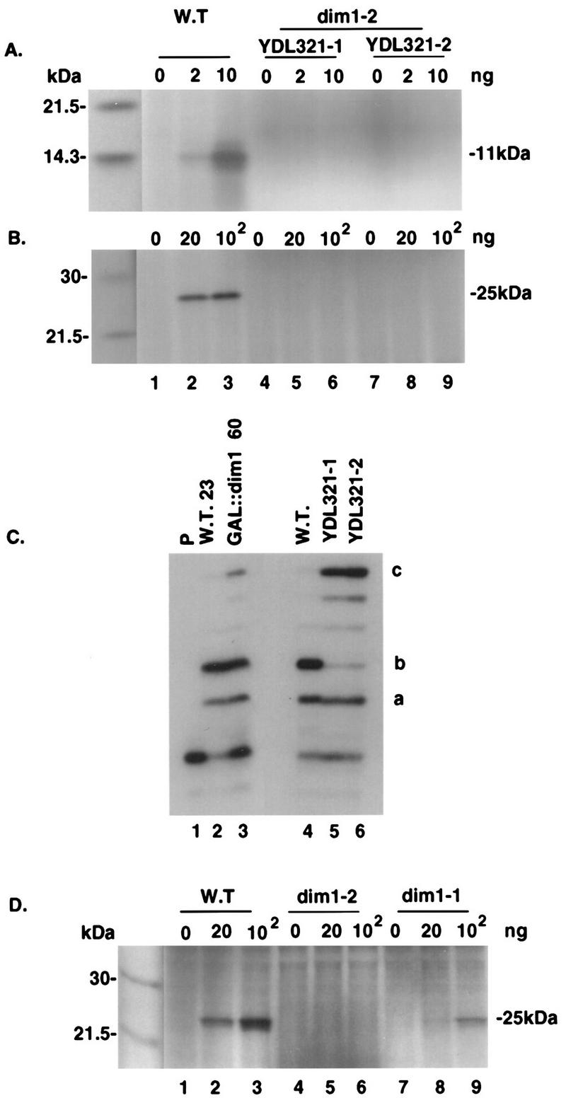 FIG. 9