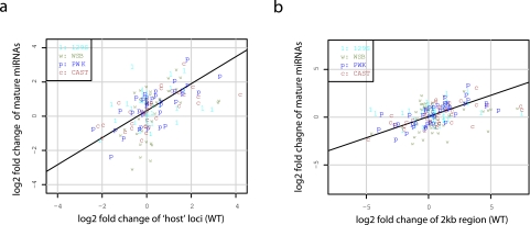 FIG 5 