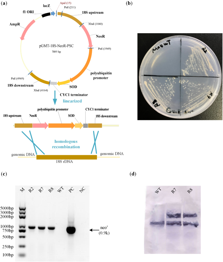 Fig. 2