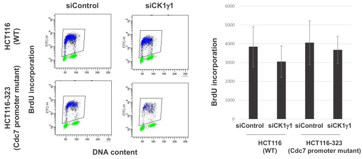 Figure 5—figure supplement 2.