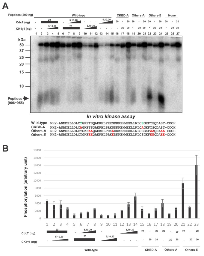 Figure 6.