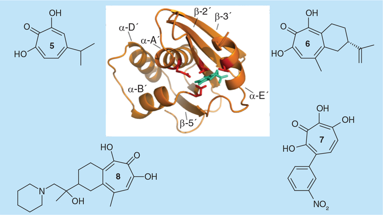 Figure 3.