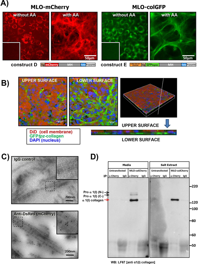 Figure 4: