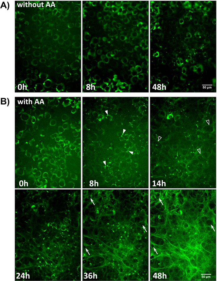 Figure 5: