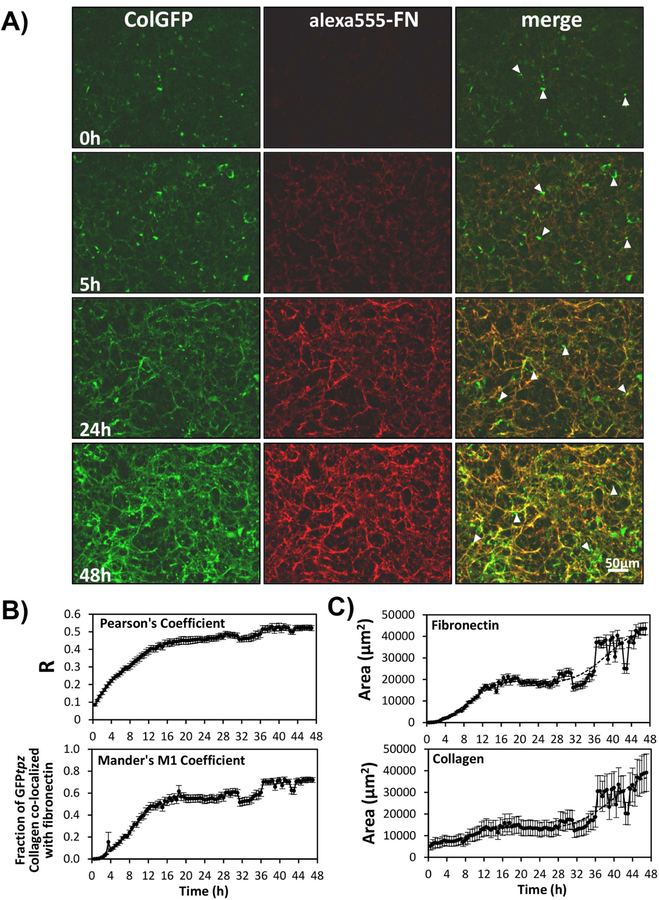 Figure 9: