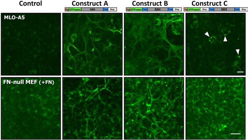 Figure 2: