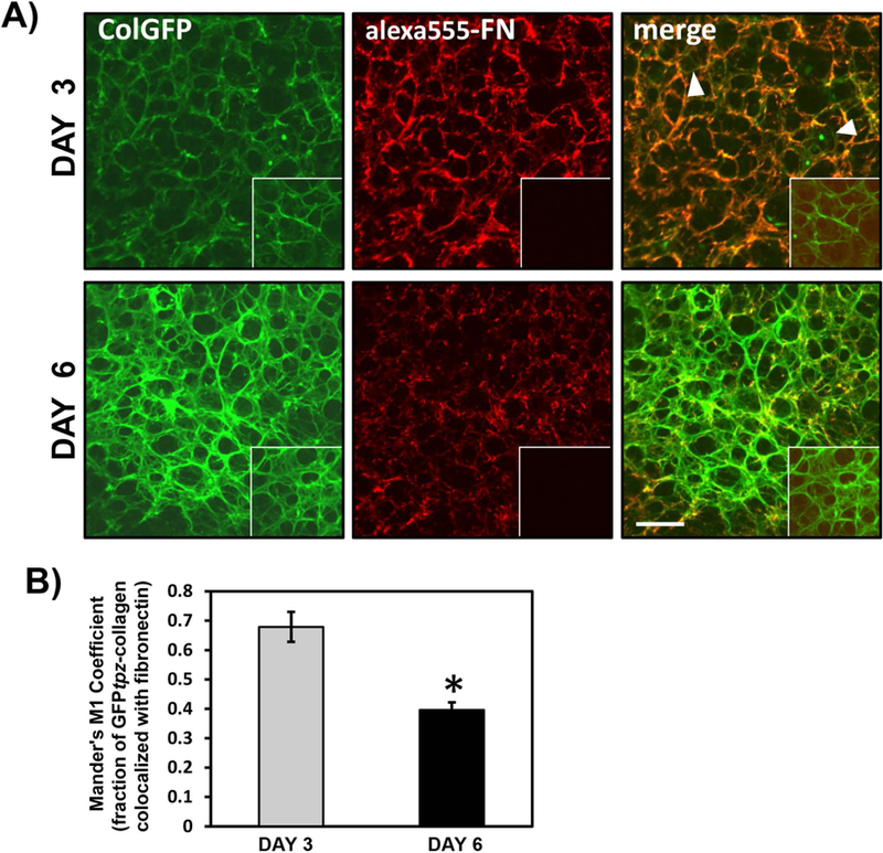 Figure 10: