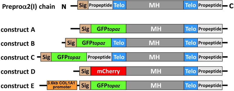 Figure 1: