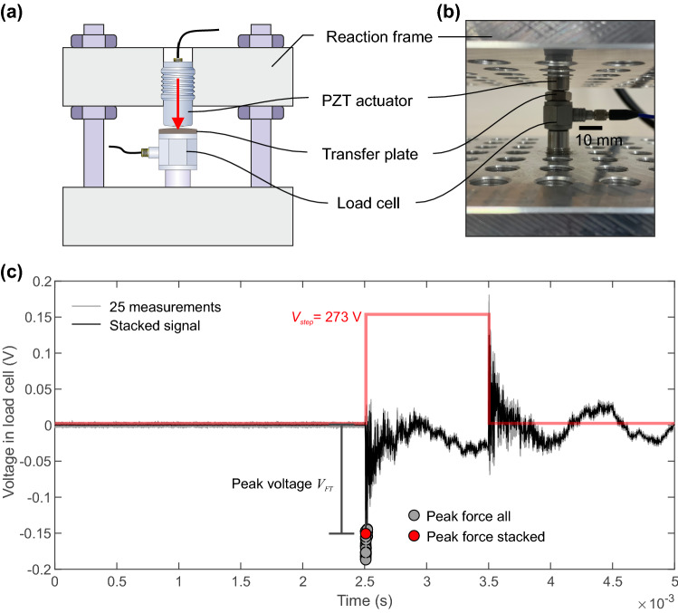 Fig. 10