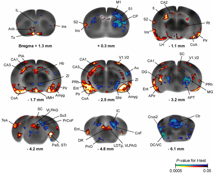 Fig. 3